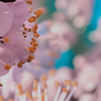 gemini_generated_image_uc09cpuc09cpuc09-mP431Ev3EZFzBnpv